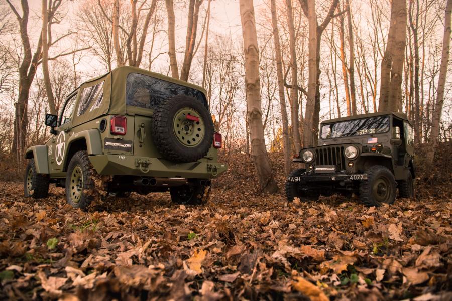  Jeep Wrangler Geiger-Willys (JK) 2017 года  (фото 7 из 21)